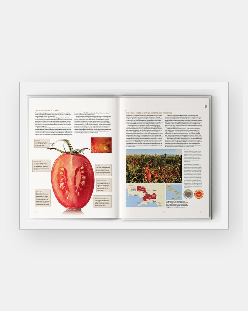 Modernist pizza - Nathan Myhrvold tomatosharp