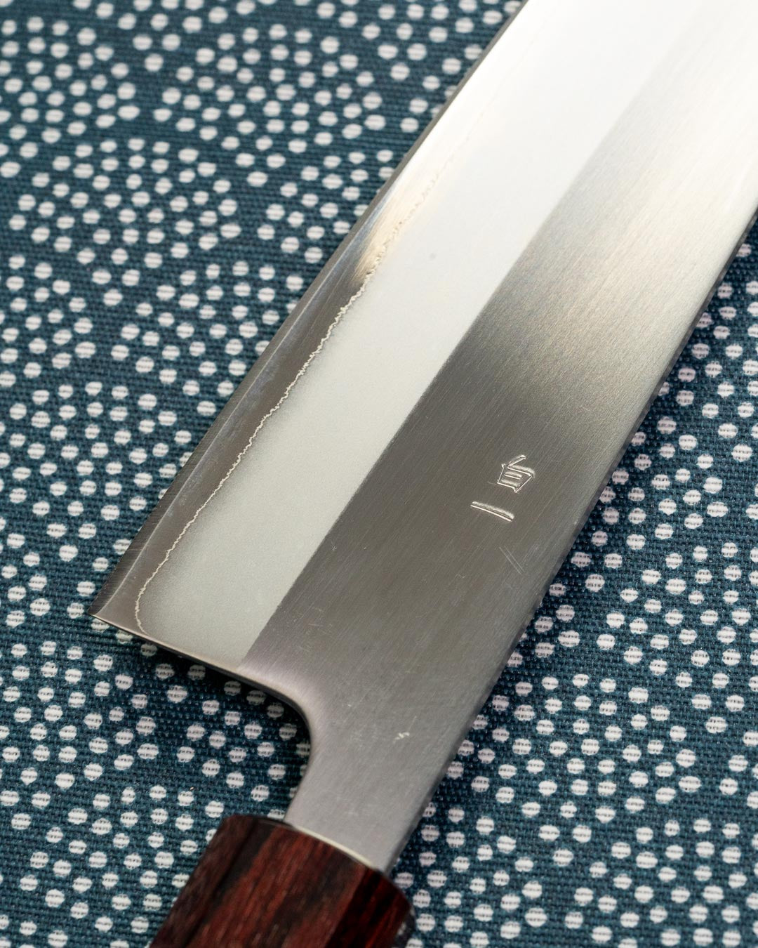 OUL Keyaki Gyuto 210 mm