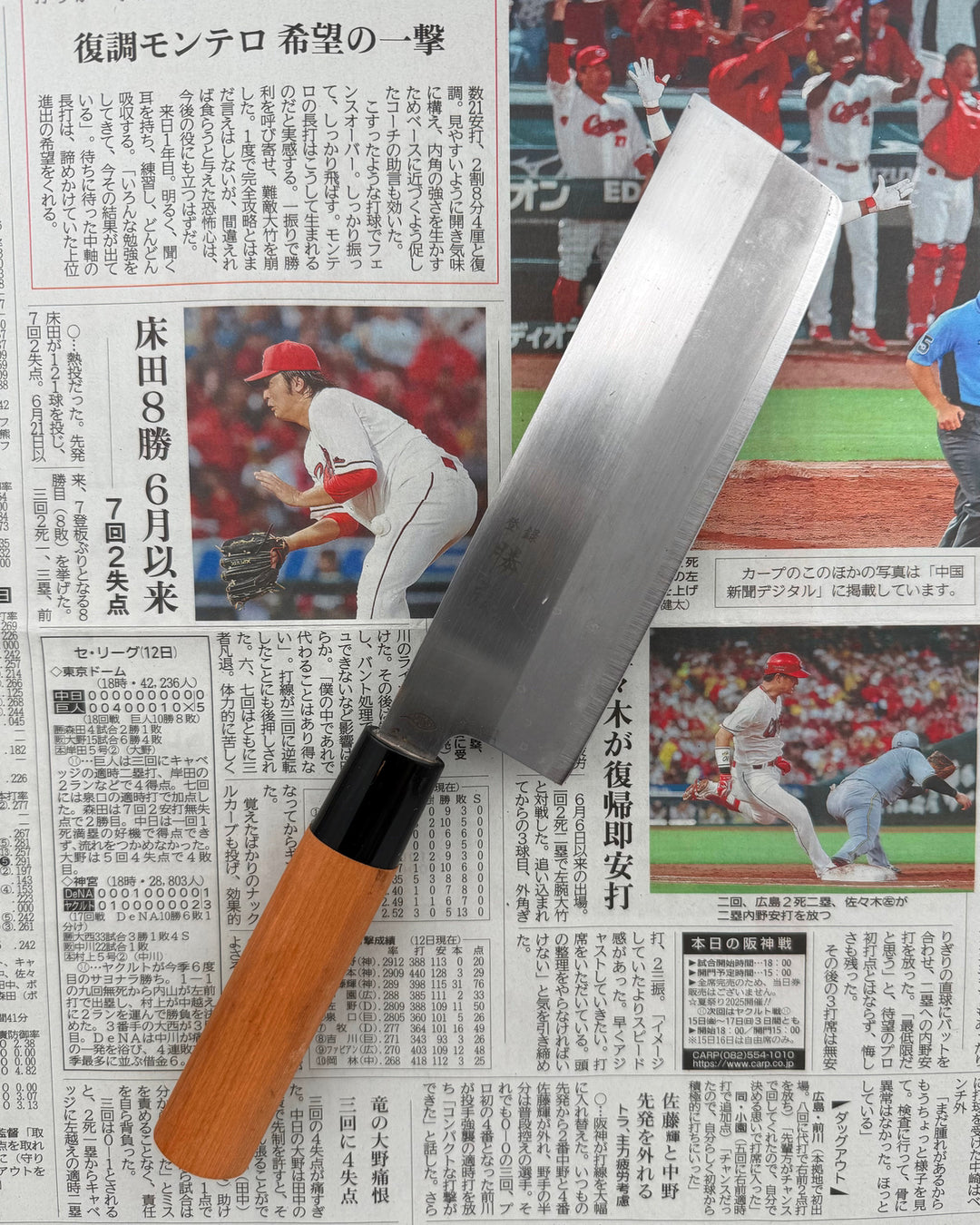 Grønnsakskniven 165 mm, Saisei Daichi Nakiri tomatosharp