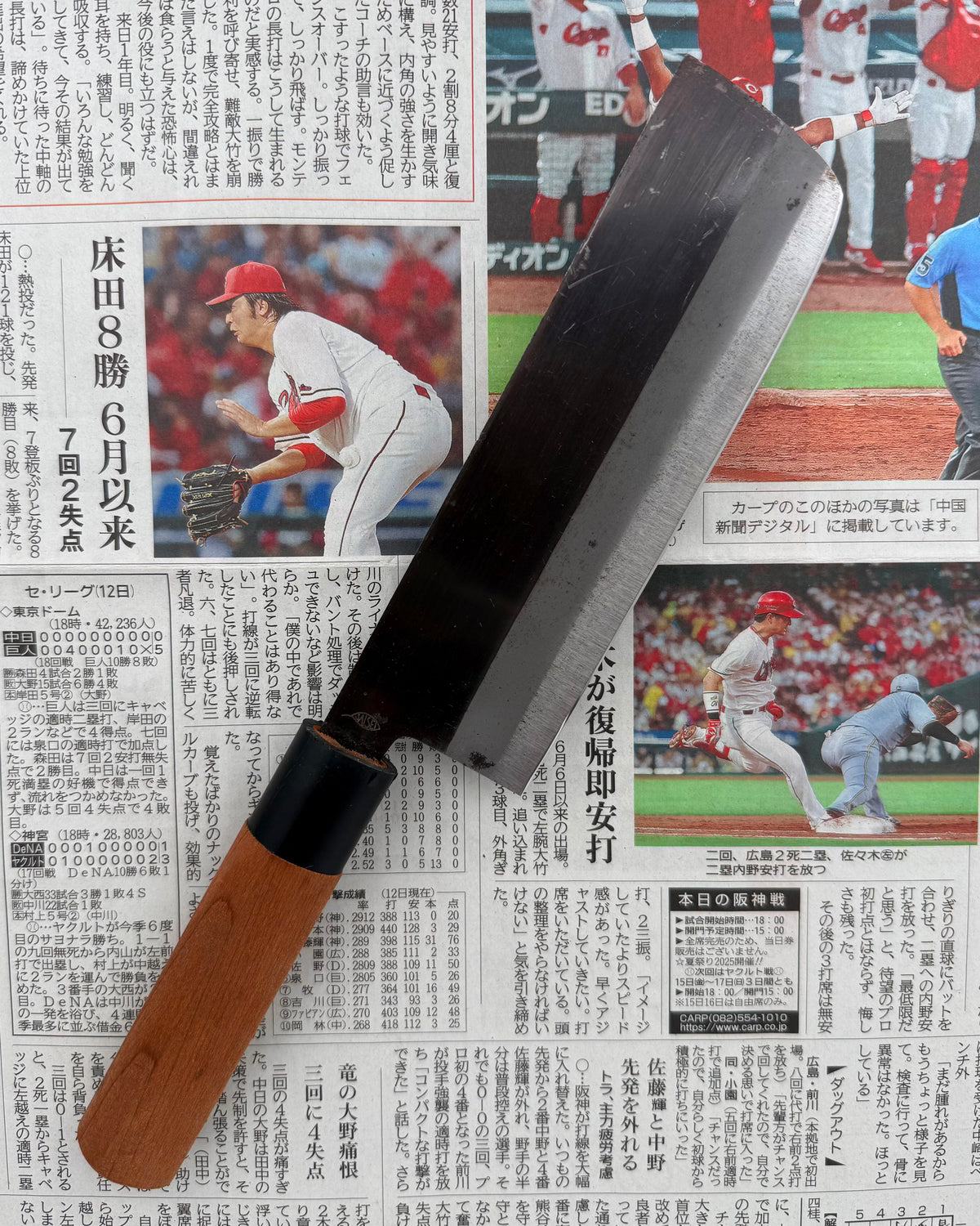 Grønnsakskniven 165 mm, Saisei Ryoku Nakiri tomatosharp