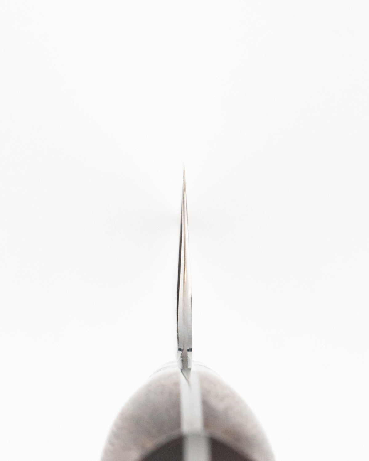 Kokkekniv 210 mm, NIGARA HAMONO SG2 Kurouchi Tsuchime Ironwood Gyuto tomatosharp