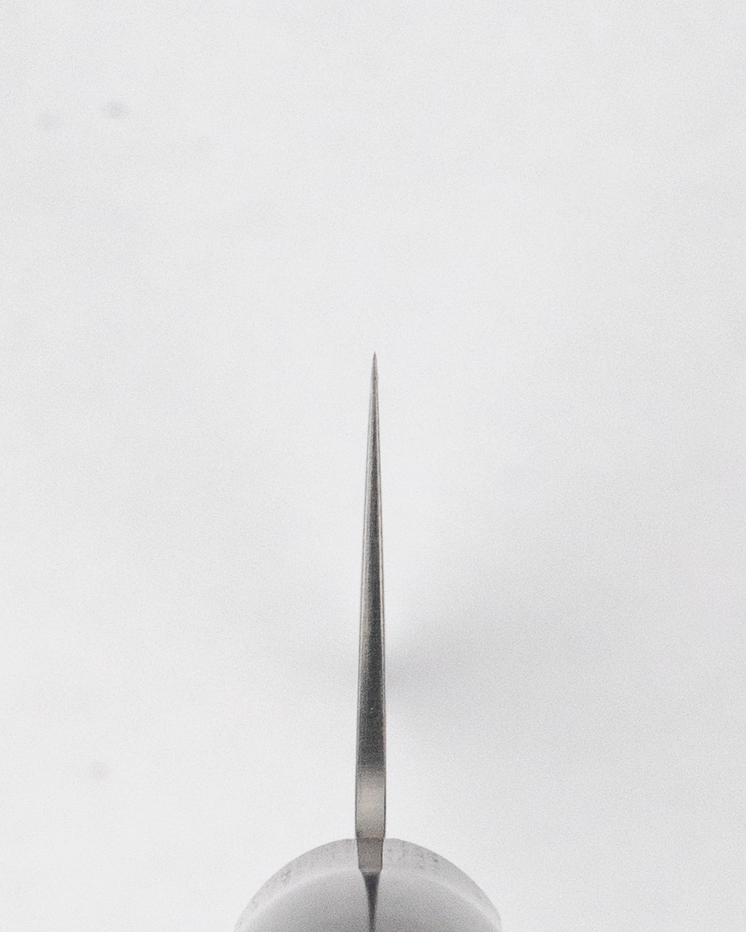 Kokkekniv 210 mm, SAKAI TAKAYUKI Sumire VG10 Gyuto Sakai Takayuki