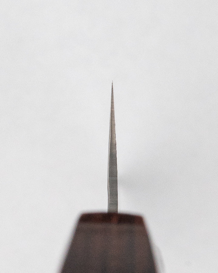Kokkekniv 210 mm, SAKAI TAKAYUKI VG10 Damascus Gyuto Sakai Takayuki