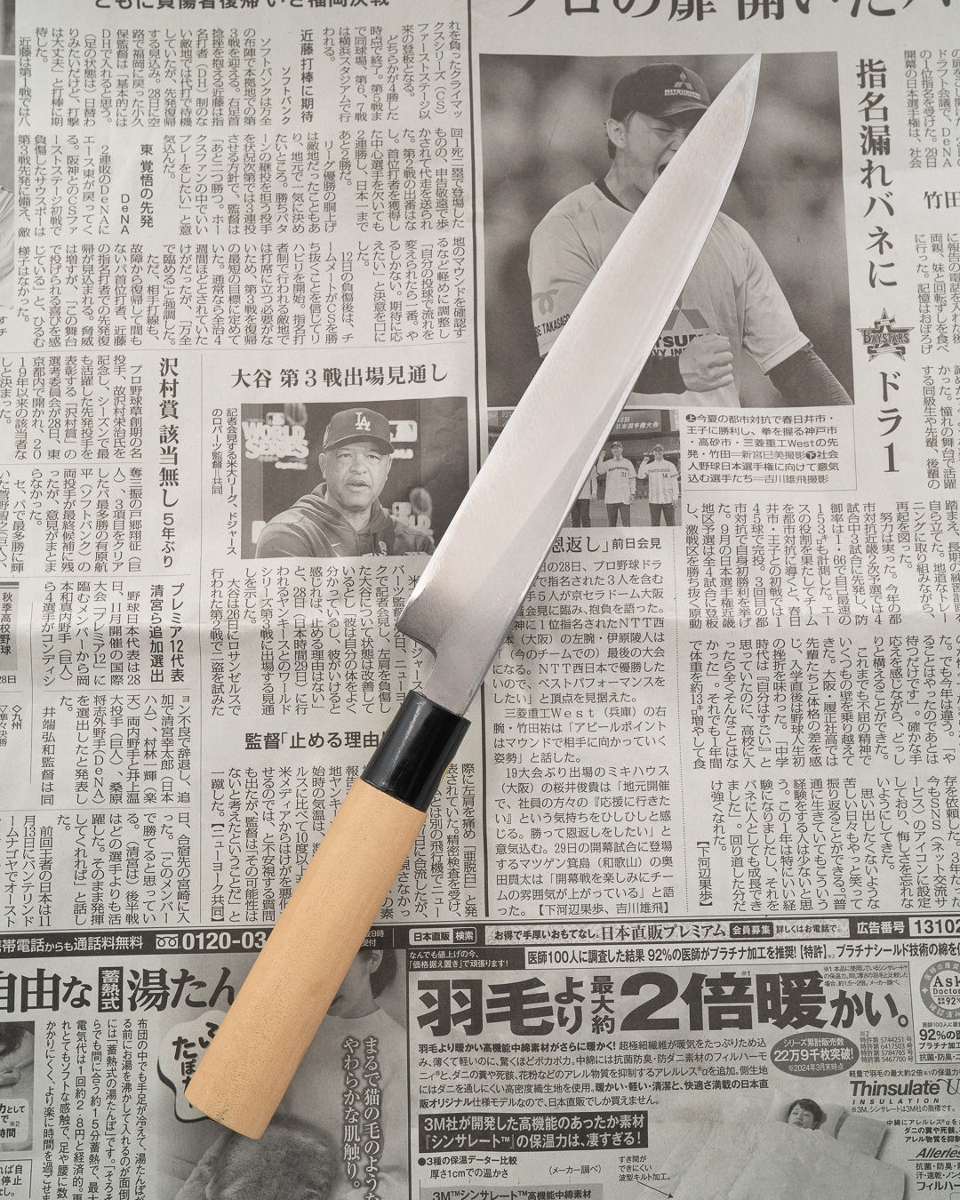 SAISEI NOS Kawakami Yanagiba 210 mm