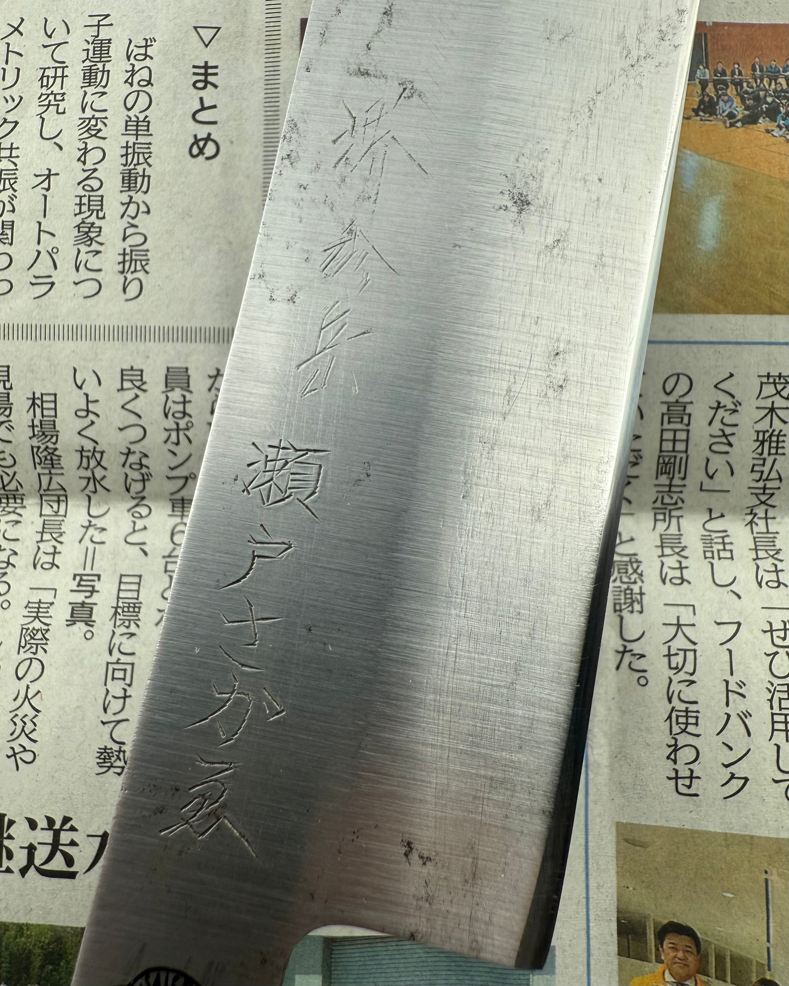 SAISEI Hand Engraved Usuba 140 mm tomatosharp
