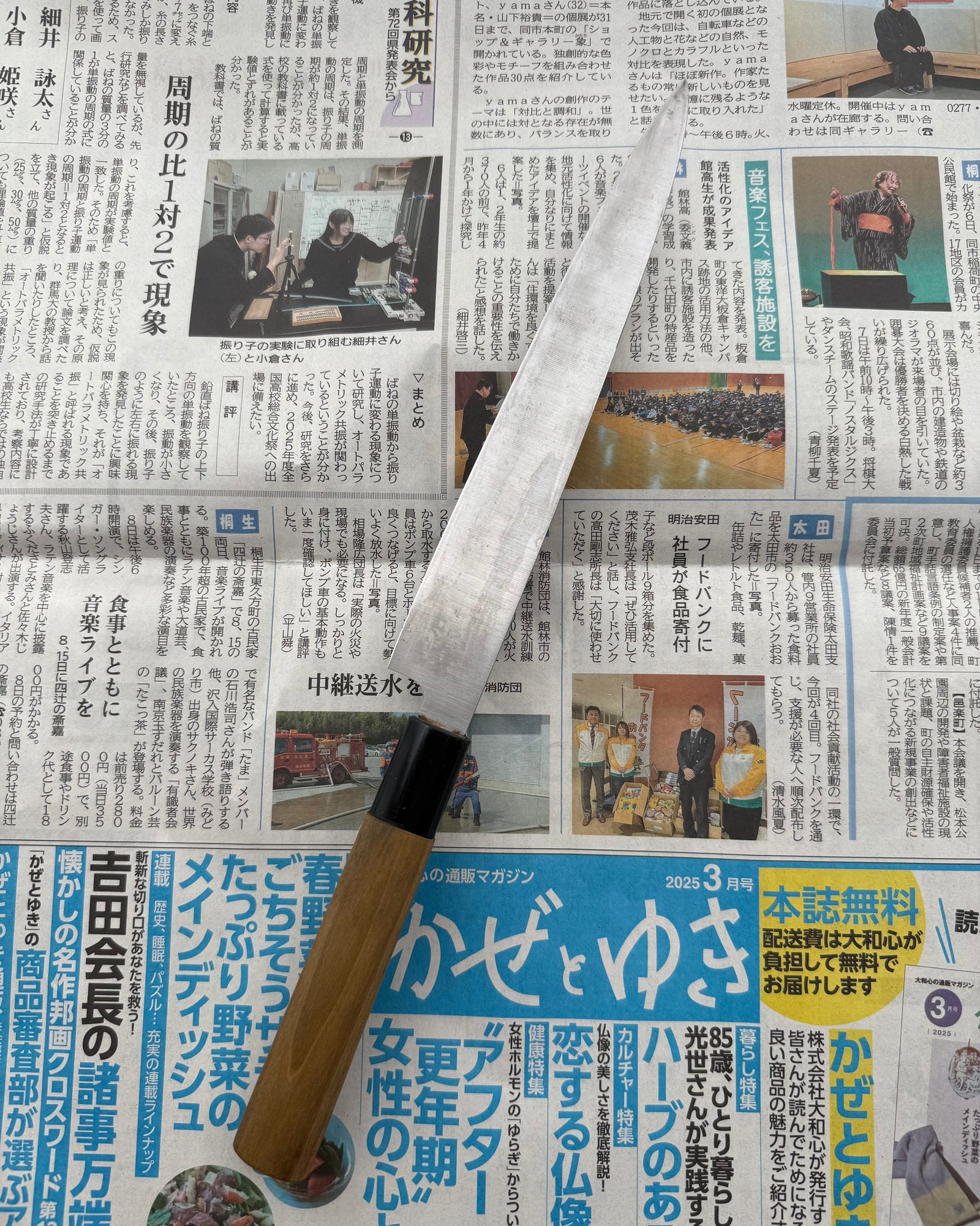 SAISEI Brown Oak Yanagiba 195 mm tomatosharp