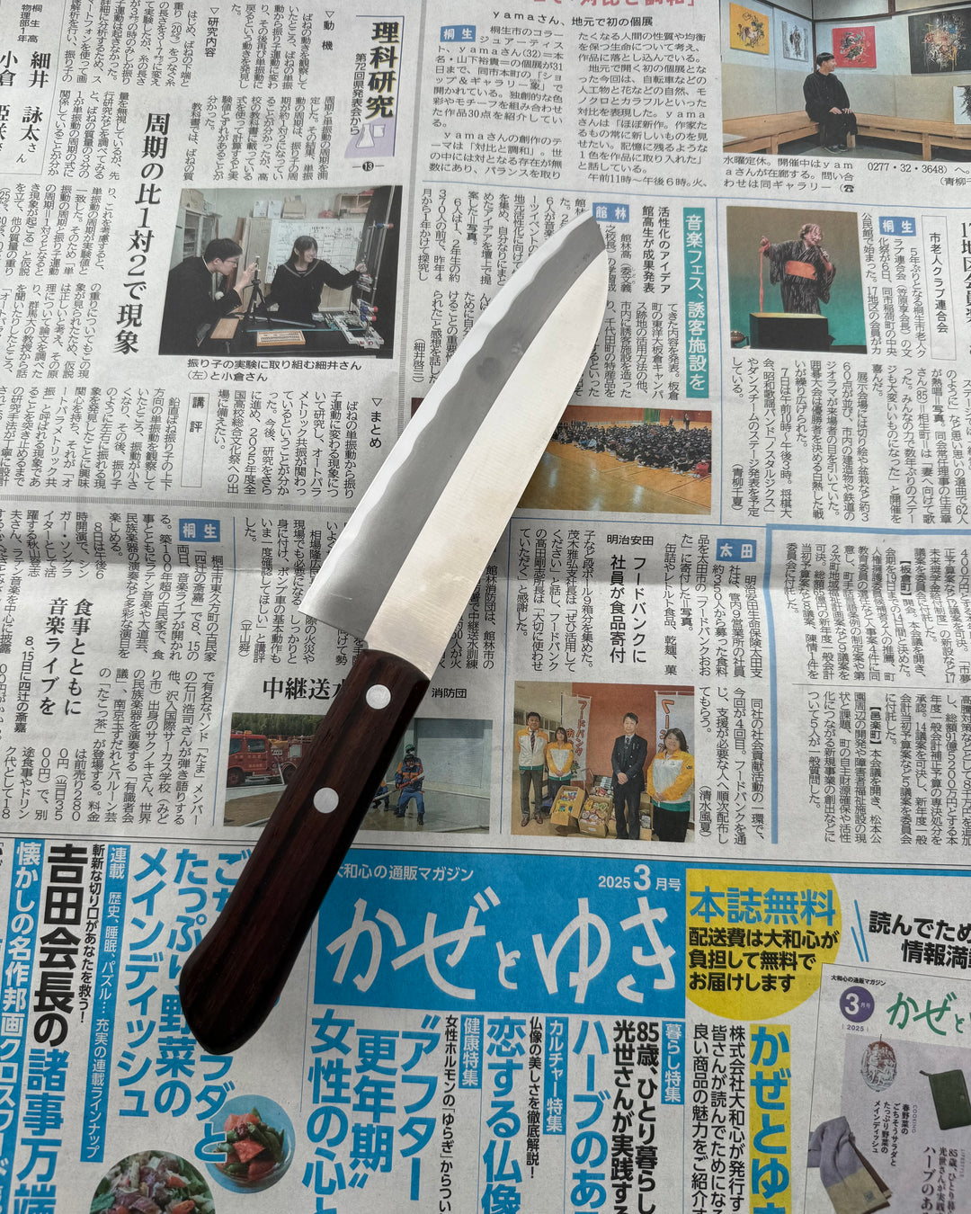 SAISEI Wood Handle Santoku 165 mm