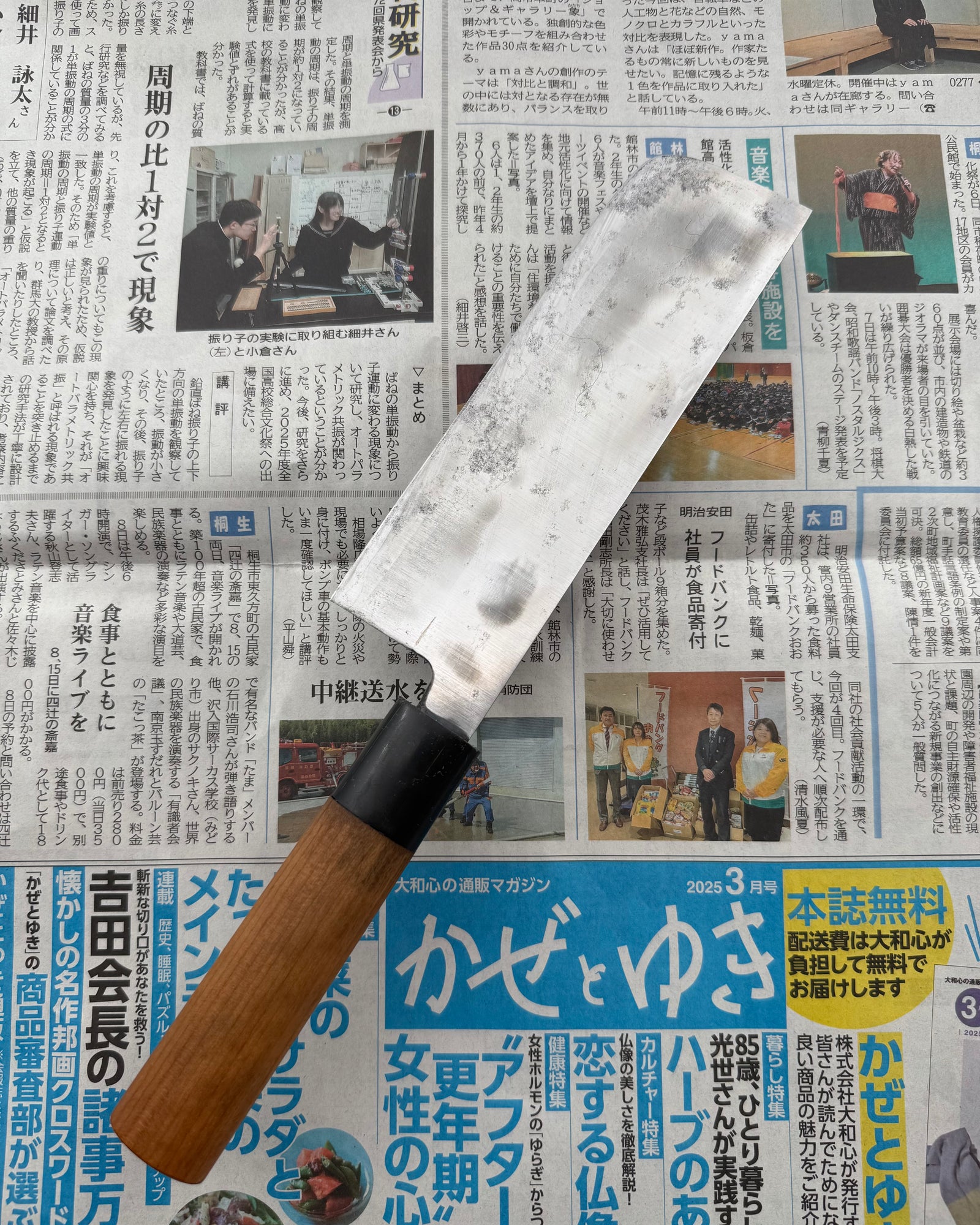 SAISEI Hanten Blade Nakiri 165 mm tomatosharp