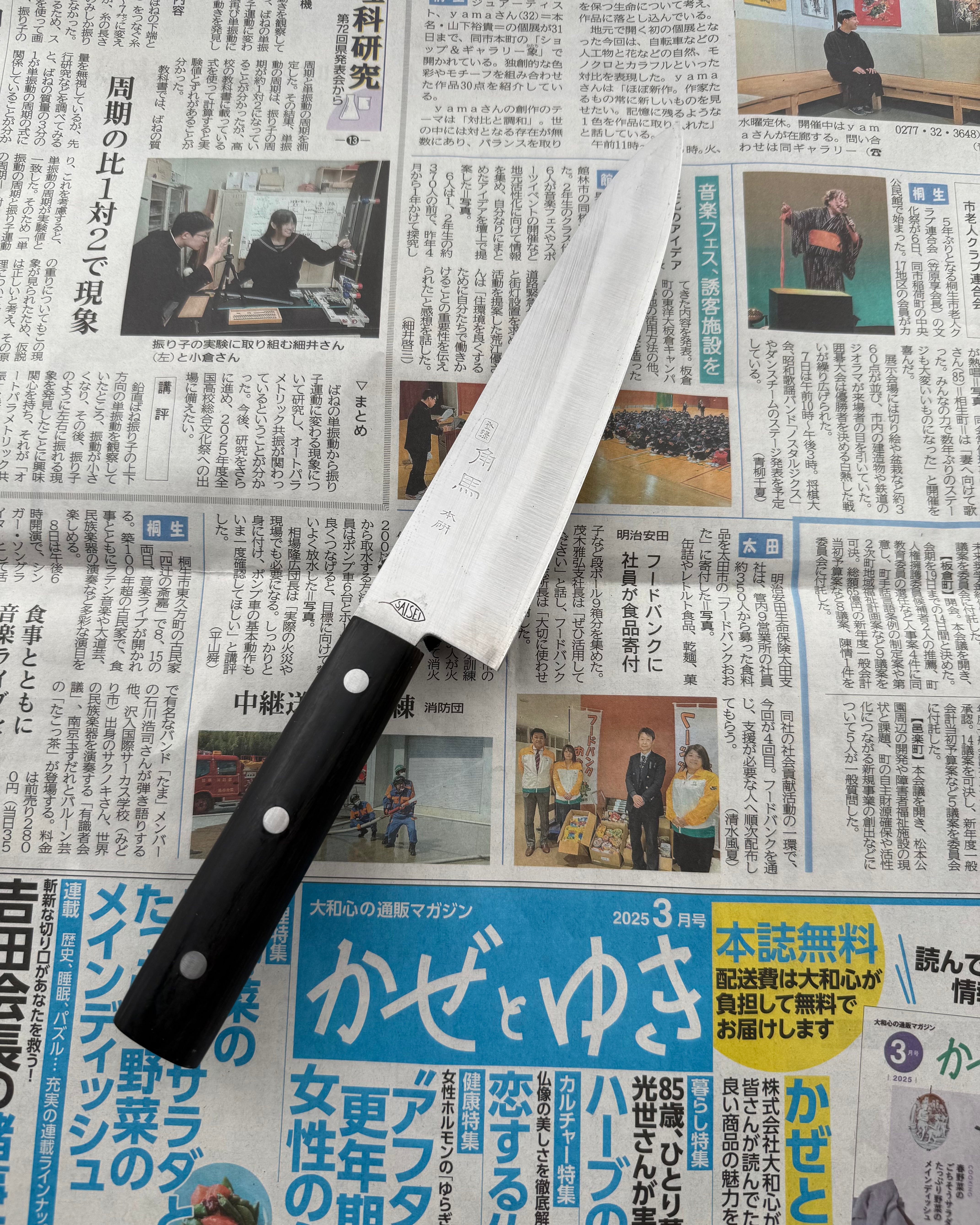 Saisei