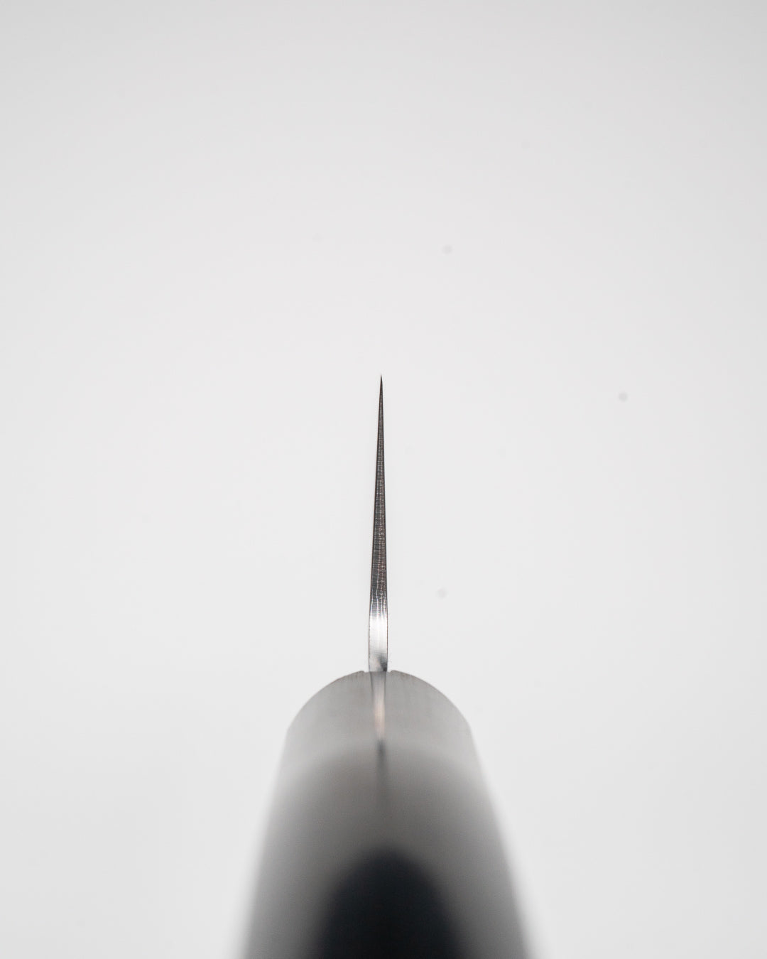 SAKAI TAKAYUKI Sumire VG10 Gyuto 180 mm