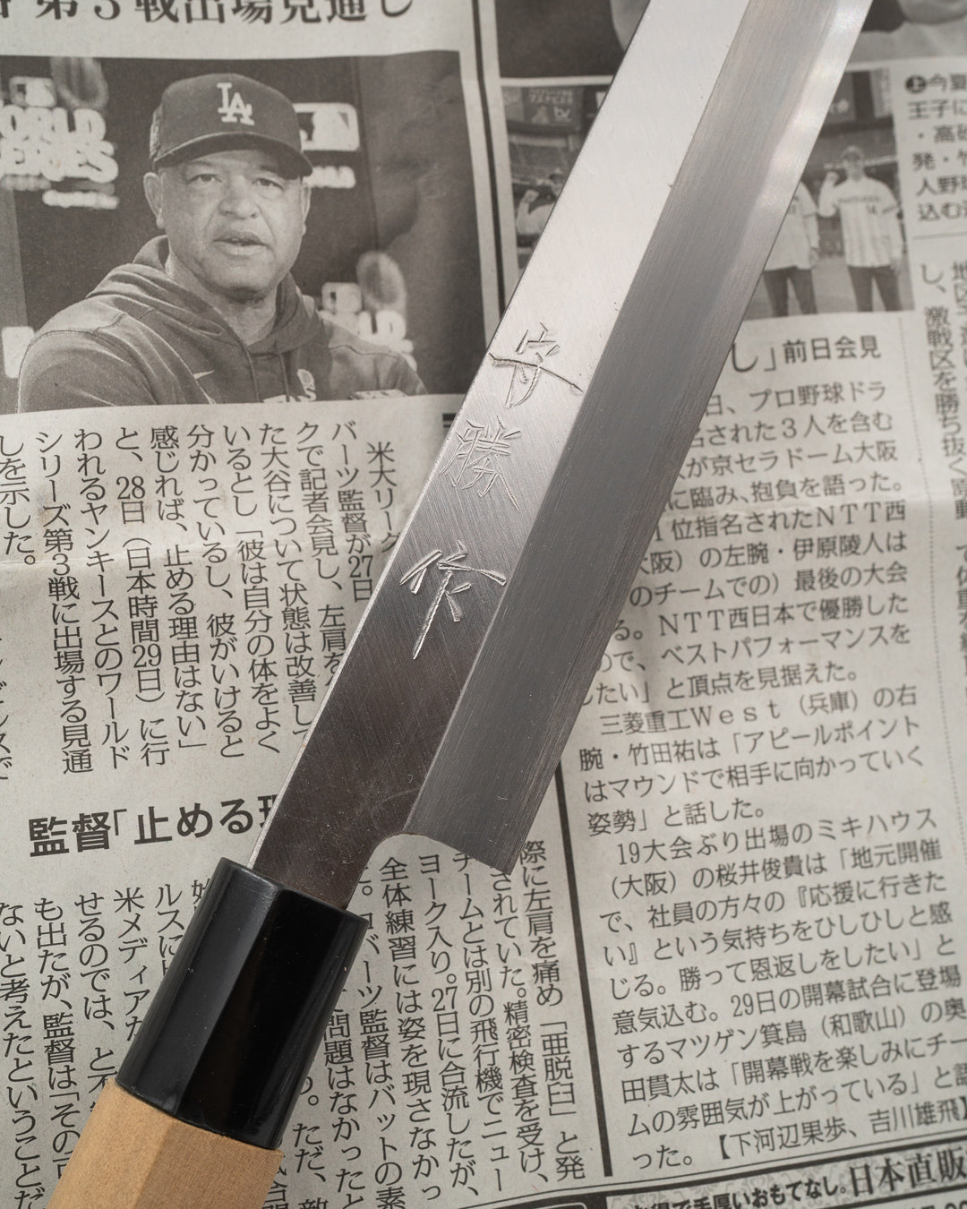 SAISEI NOS Kensho Yanagiba 240 mm