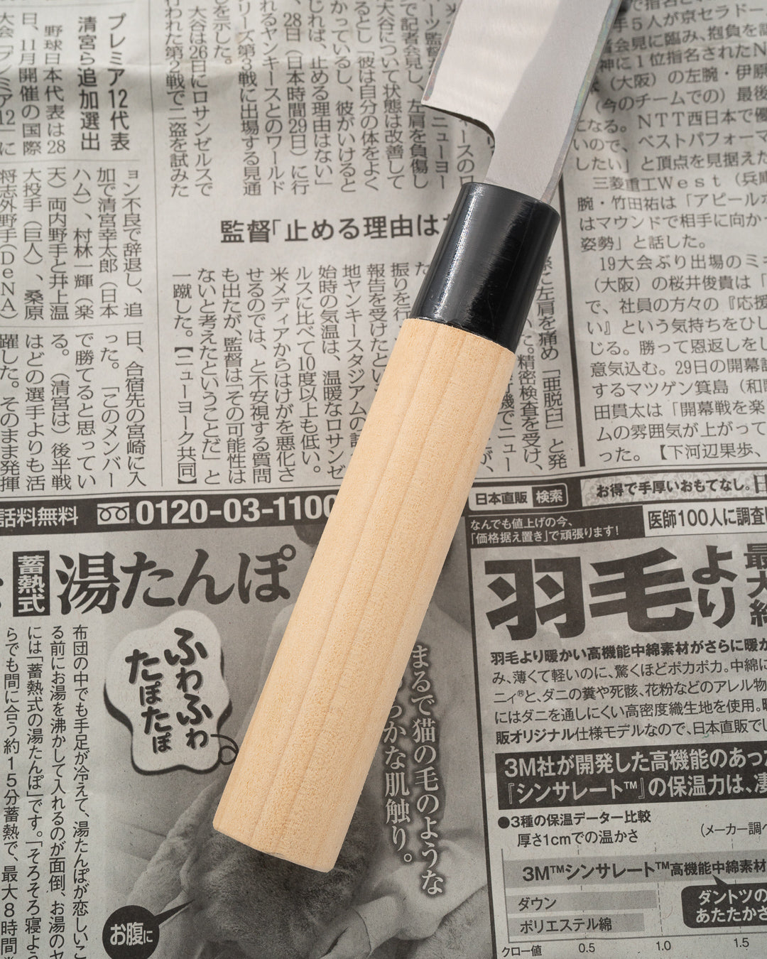 SAISEI NOS Norisaku Yanagiba 210 mm