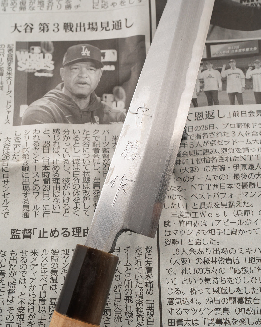 SAISEI NOS Sokan Yanagiba 180 mm