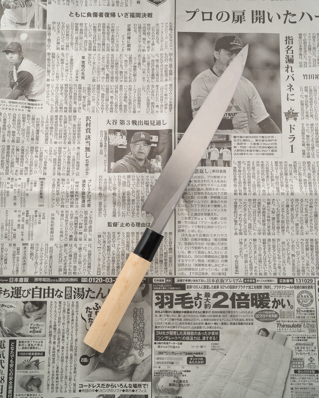 SAISEI NOS Yosaku Yanagiba 210 mm