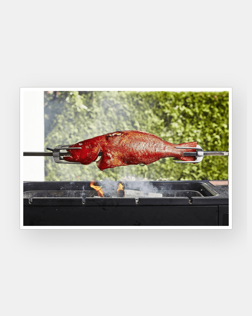Take One Fish - The New School of Scale-to-Tail Cooking and Eating tomatosharp