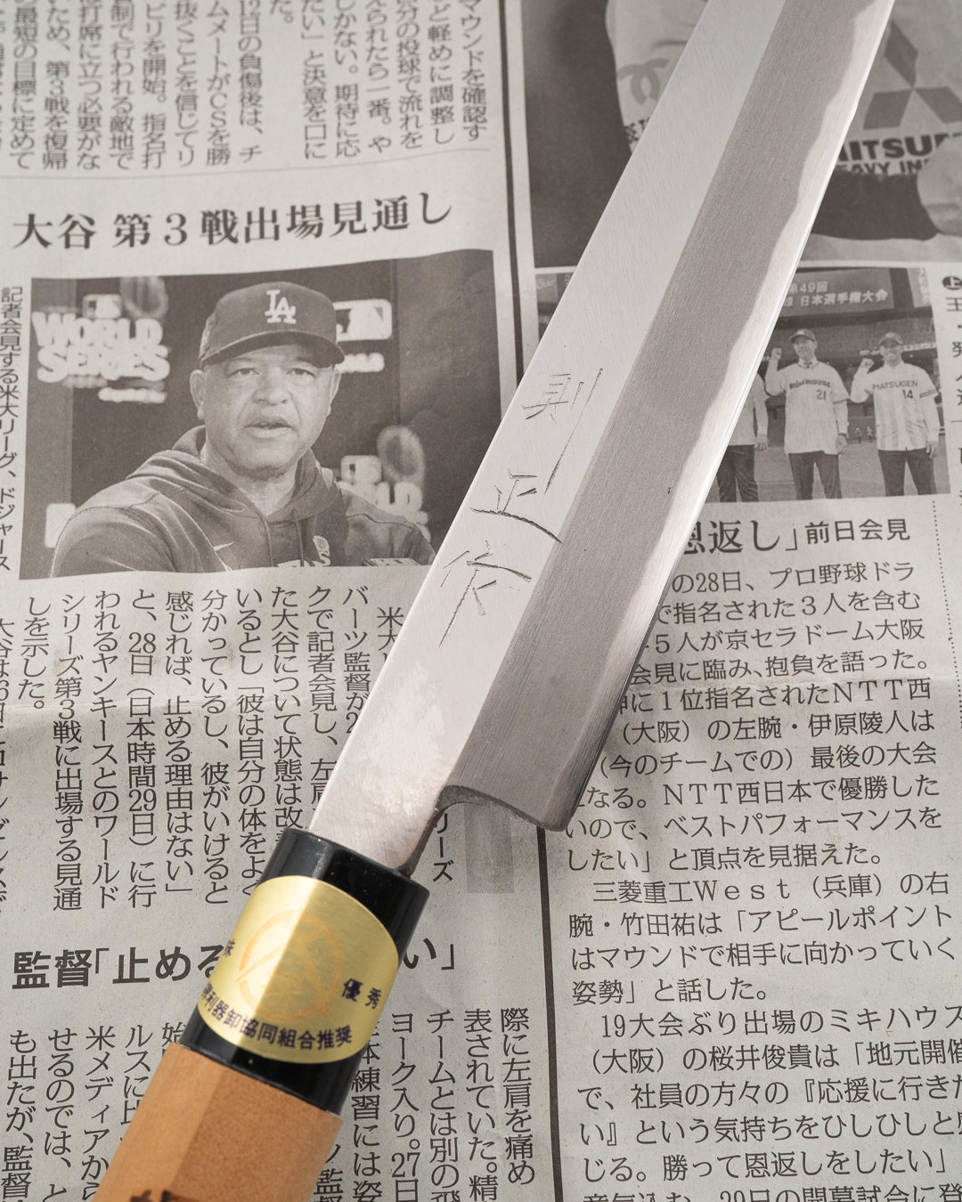 SAISEI NOS Kawakami Yanagiba 210 mm