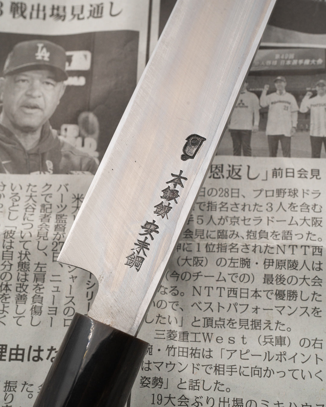 SAISEI NOS Warikomi Yanagiba 240 mm