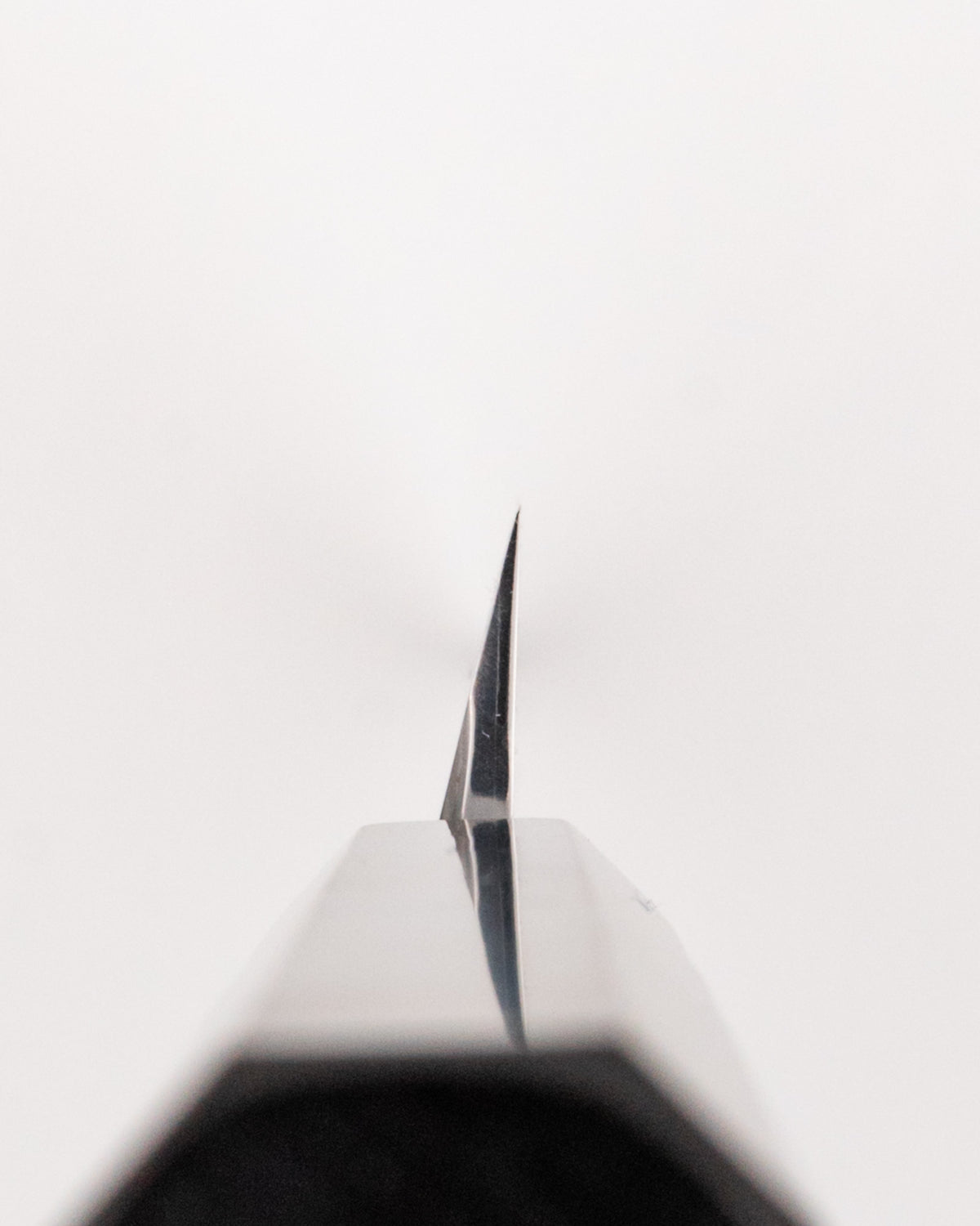 Yanagiba 300 mm, SAKAI TAKAYUKI Ginsan EB Mirror tomatosharp