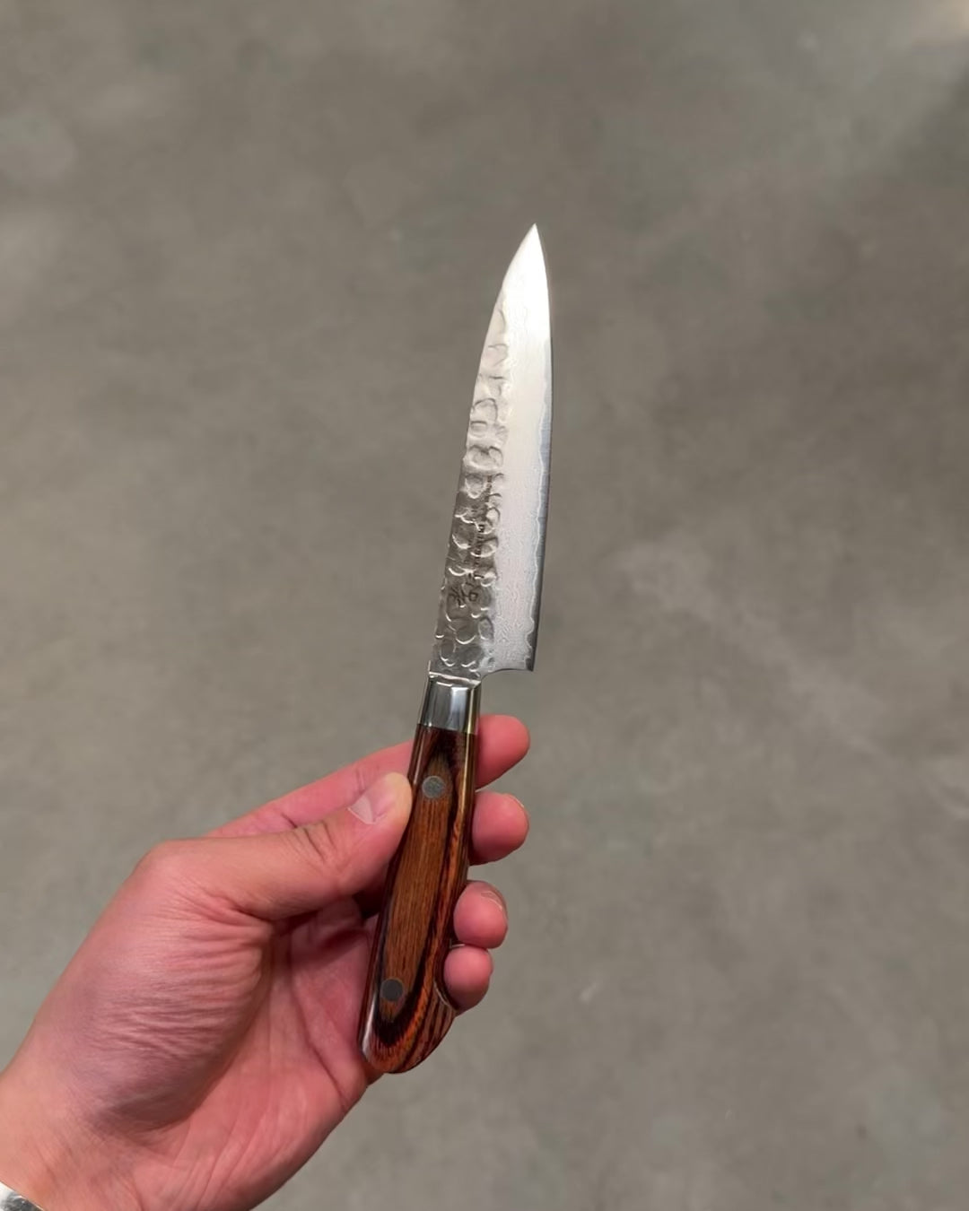 Universalkniv 120 mm, SAKAI TAKAYUKI VG10 Damascus Petty