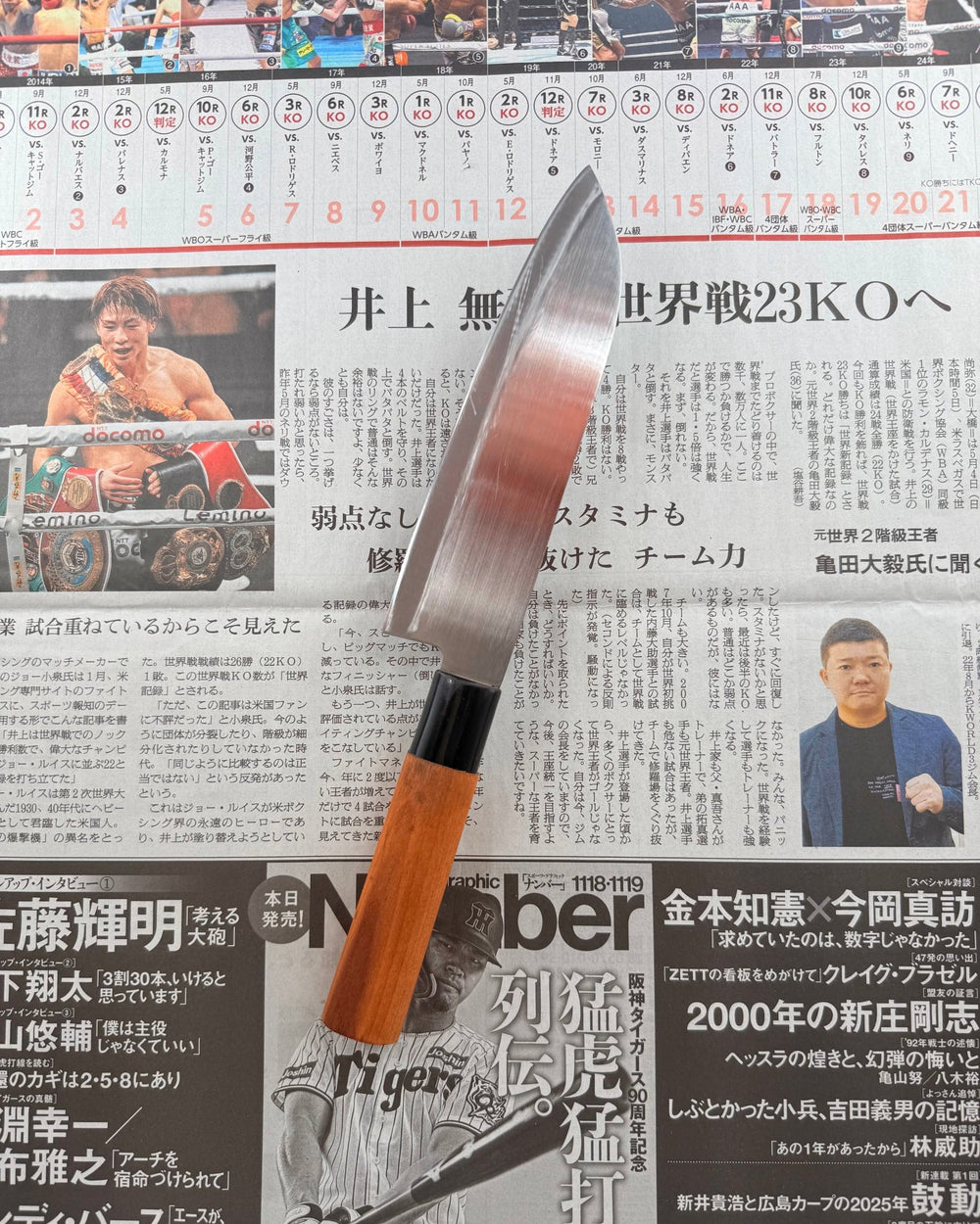 SAISEI Aokawa Gyuto 170mm Saisei