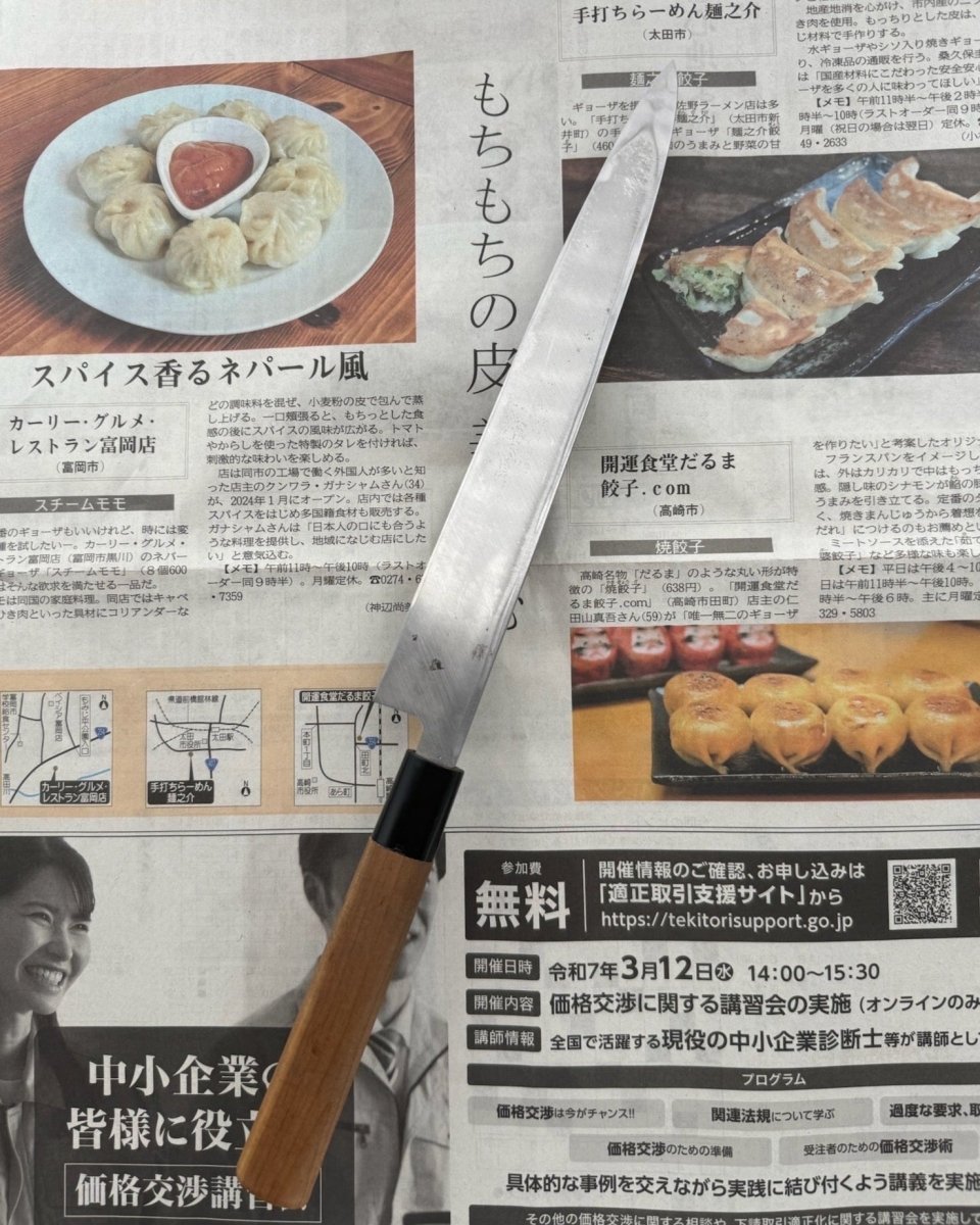 SAISEI Shikinshi Yanagiba 230 mm Saisei