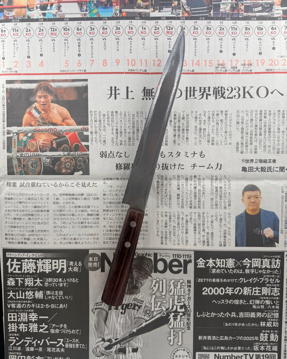 SAISEI Uminagi Yanagiba 210mm Saisei