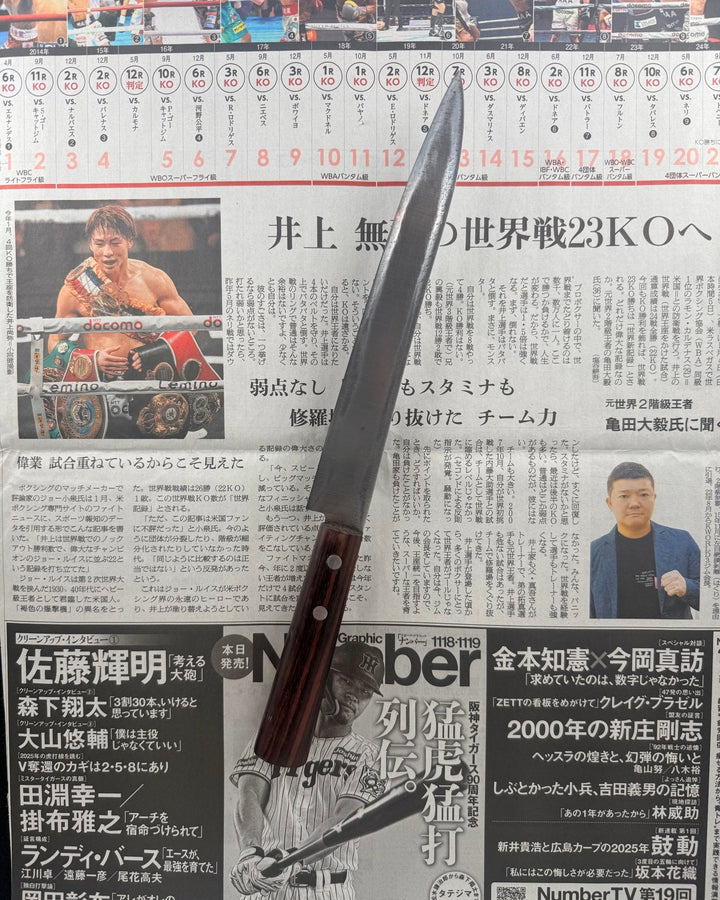 SAISEI Uminagi Yanagiba 210mm Saisei