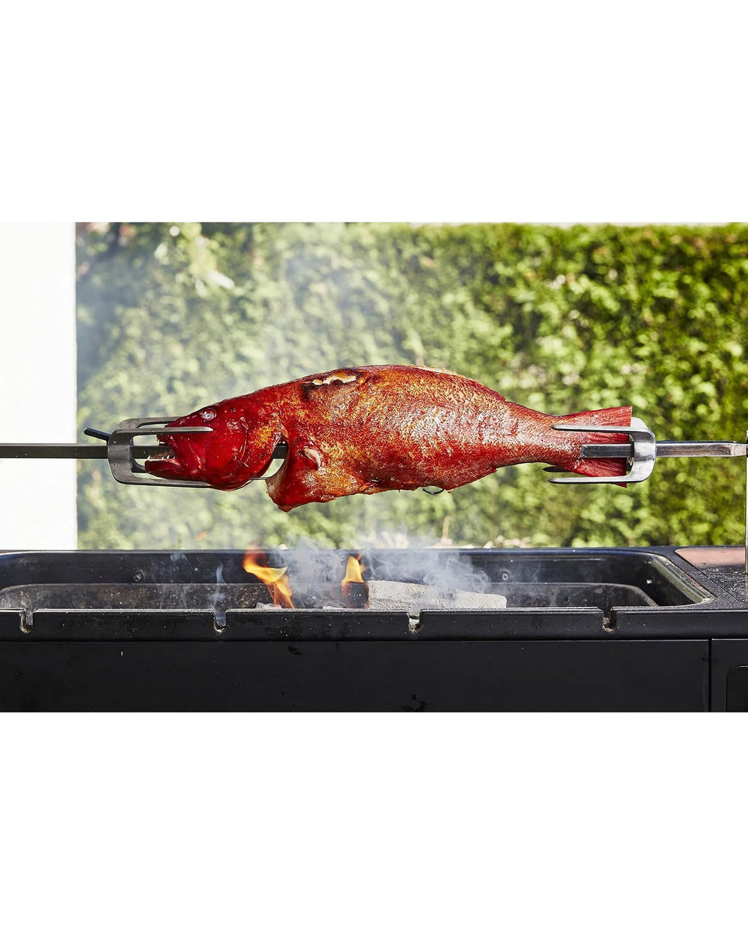 Take One Fish - The New School of Scale-to-Tail Cooking and Eating tomatosharp