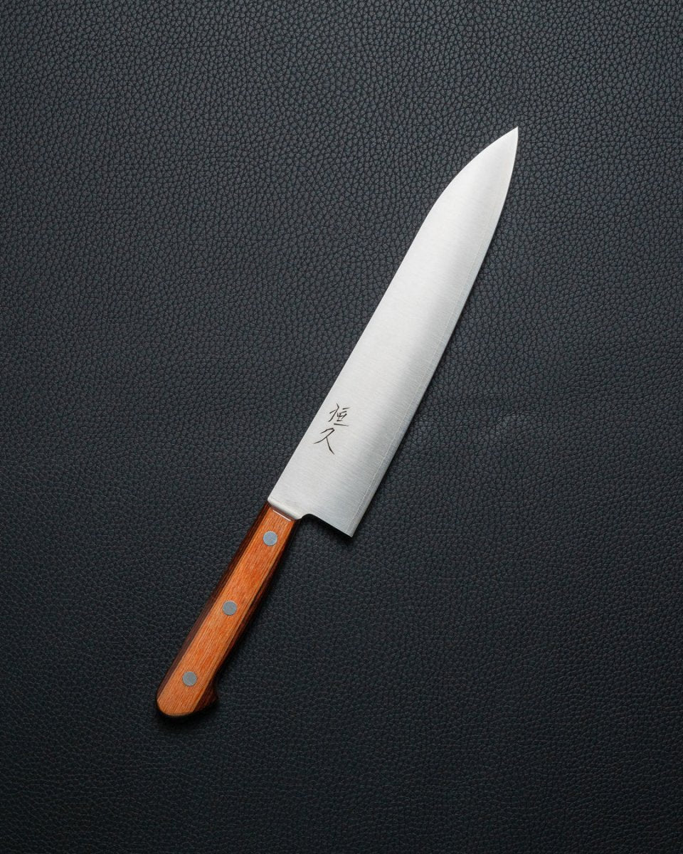 TSUNEHISA SLD P Gyuto 210 mm Tsunehisa